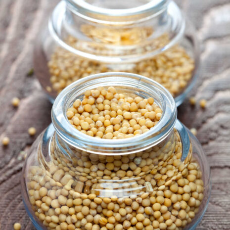 About Life Faith Love – An image of mustard seeds in a glass container.